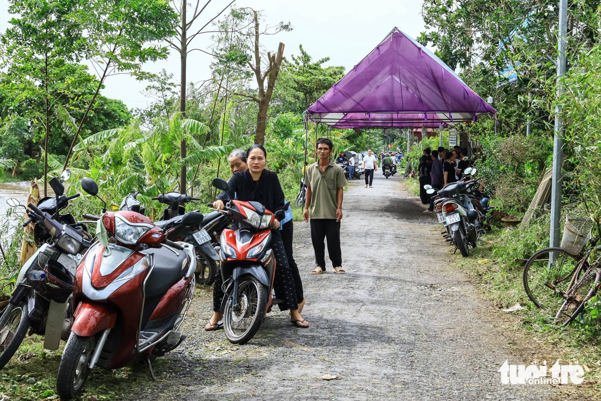 Tình người sau cơn lốc xoáy - Ảnh 10.