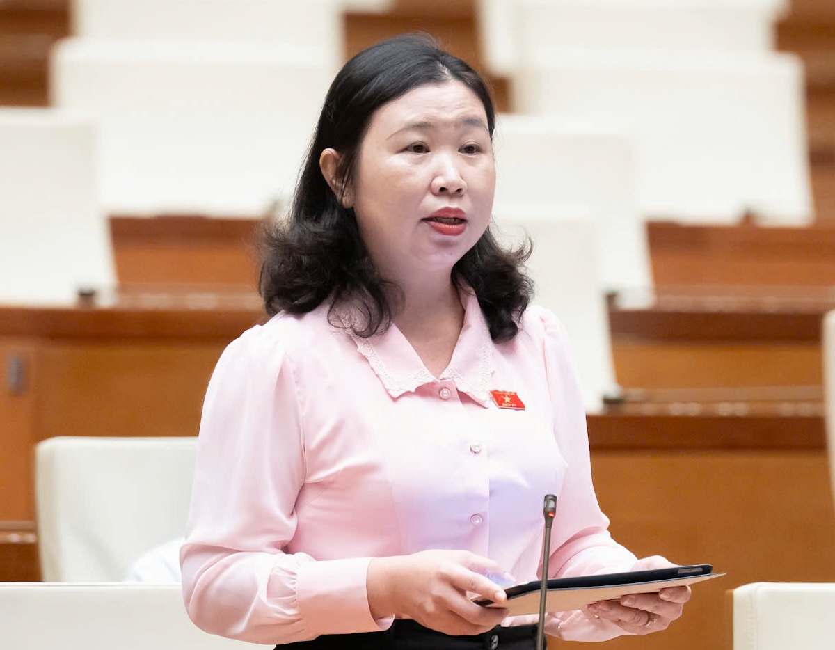 Đại biểu: Khối lượng giám định đại án Vạn Thịnh Phát cực kỳ lớn mà thời hạn 3 tháng là bất khả thi - Ảnh 1.