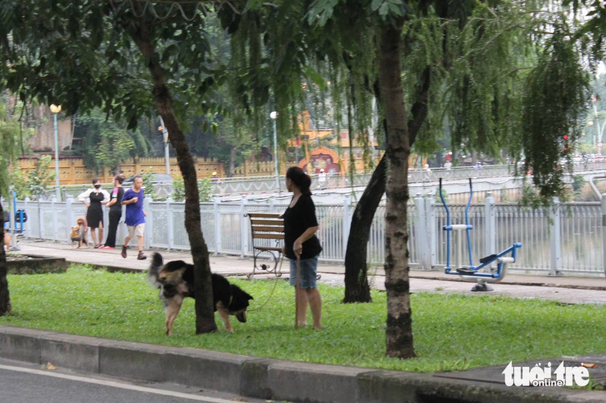 Unleashed dogs along Nhieu Loc - Thi Nghe Canal in Ho Chi Minh City spark safety concerns - Ảnh 2.