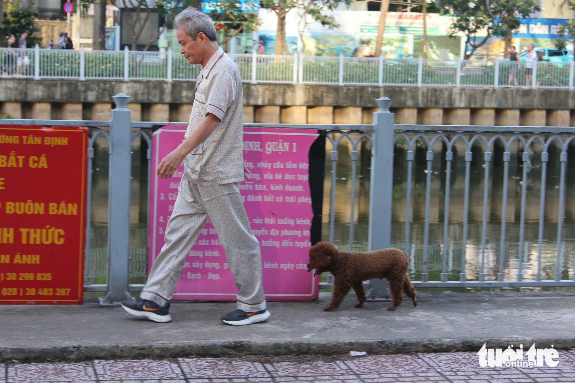 Unleashed dogs along Nhieu Loc - Thi Nghe Canal in Ho Chi Minh City spark safety concerns - Ảnh 5.