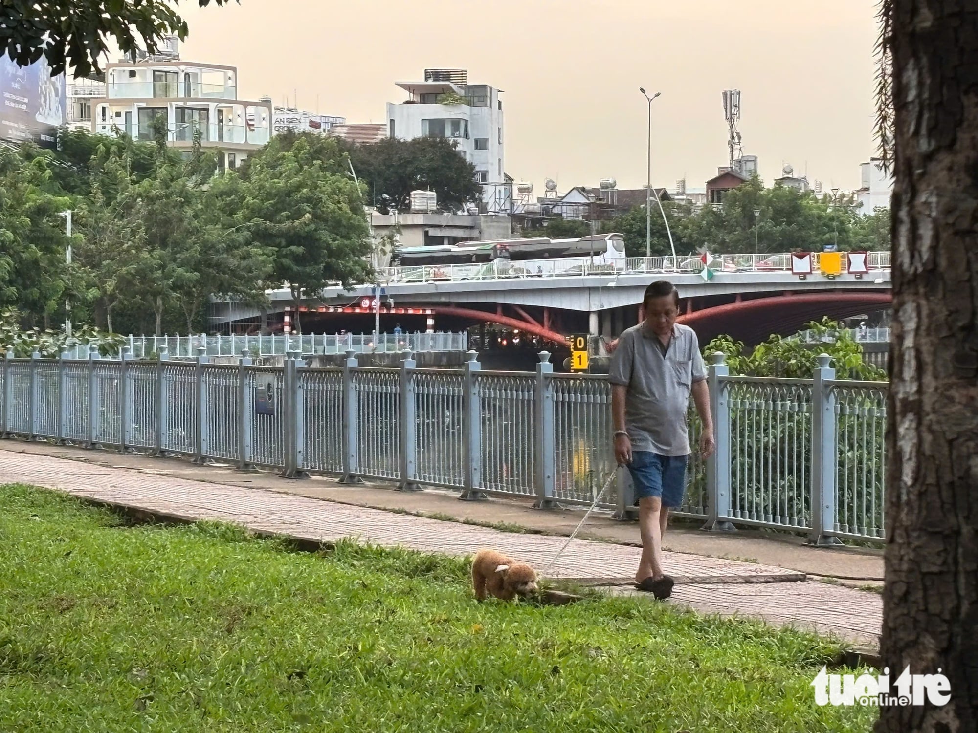 Unleashed dogs along Nhieu Loc - Thi Nghe Canal in Ho Chi Minh City spark safety concerns - Ảnh 6.