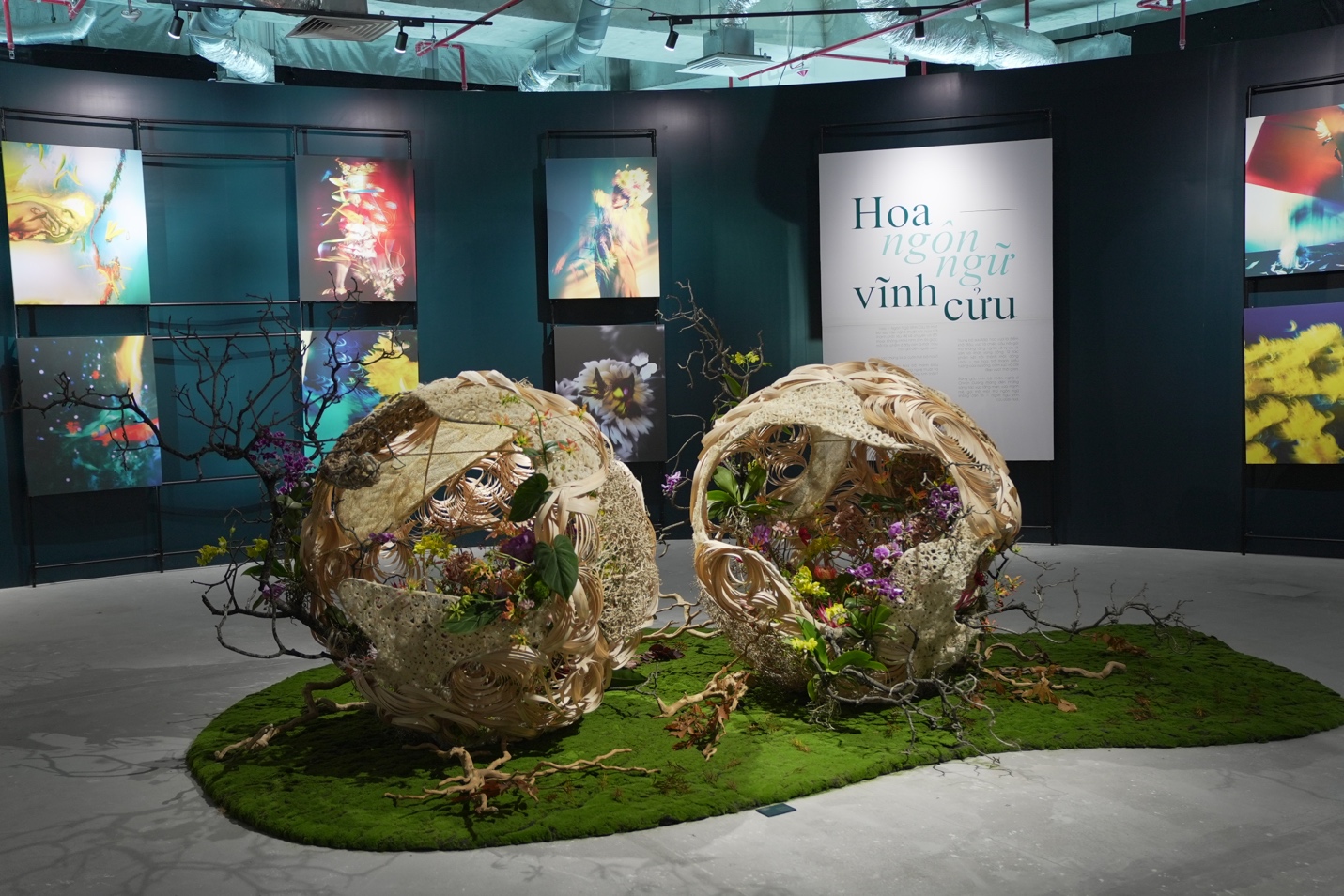 VPBank Private: Đẳng cấp dịch vụ cá nhân hóa cho giới thượng lưu Việt - Ảnh 5.