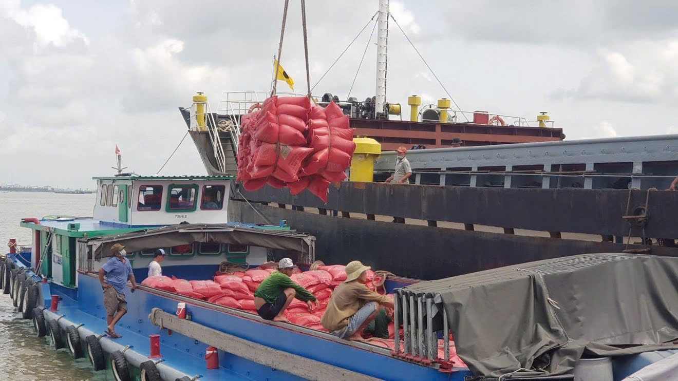 Doanh nghiệp Việt làm gì khi Philippines tính kéo dài lệnh cấm nhập khẩu gạo? - Ảnh 1.