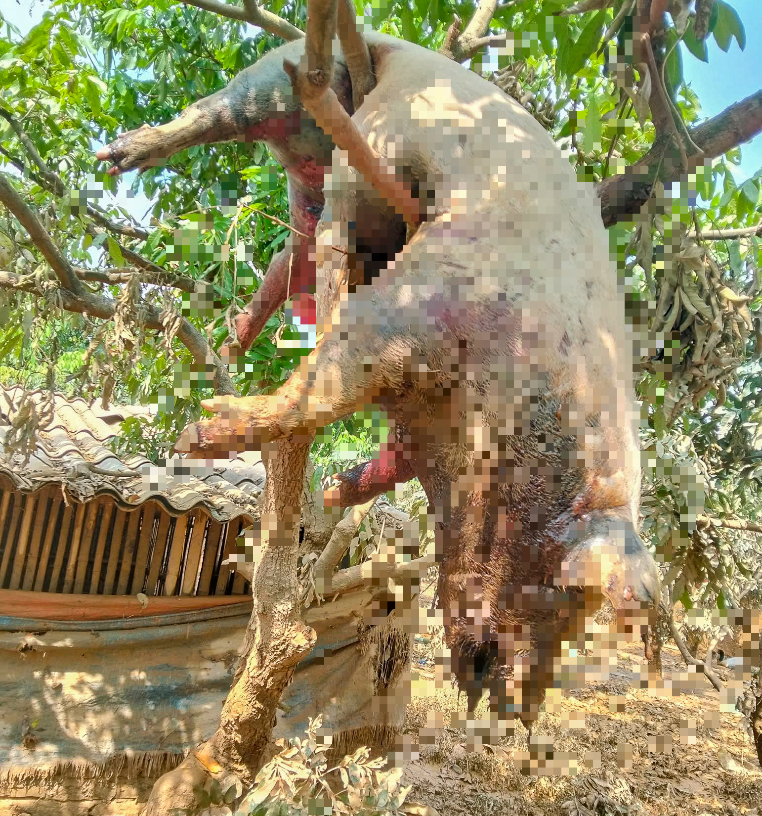 công an - Ảnh 4.