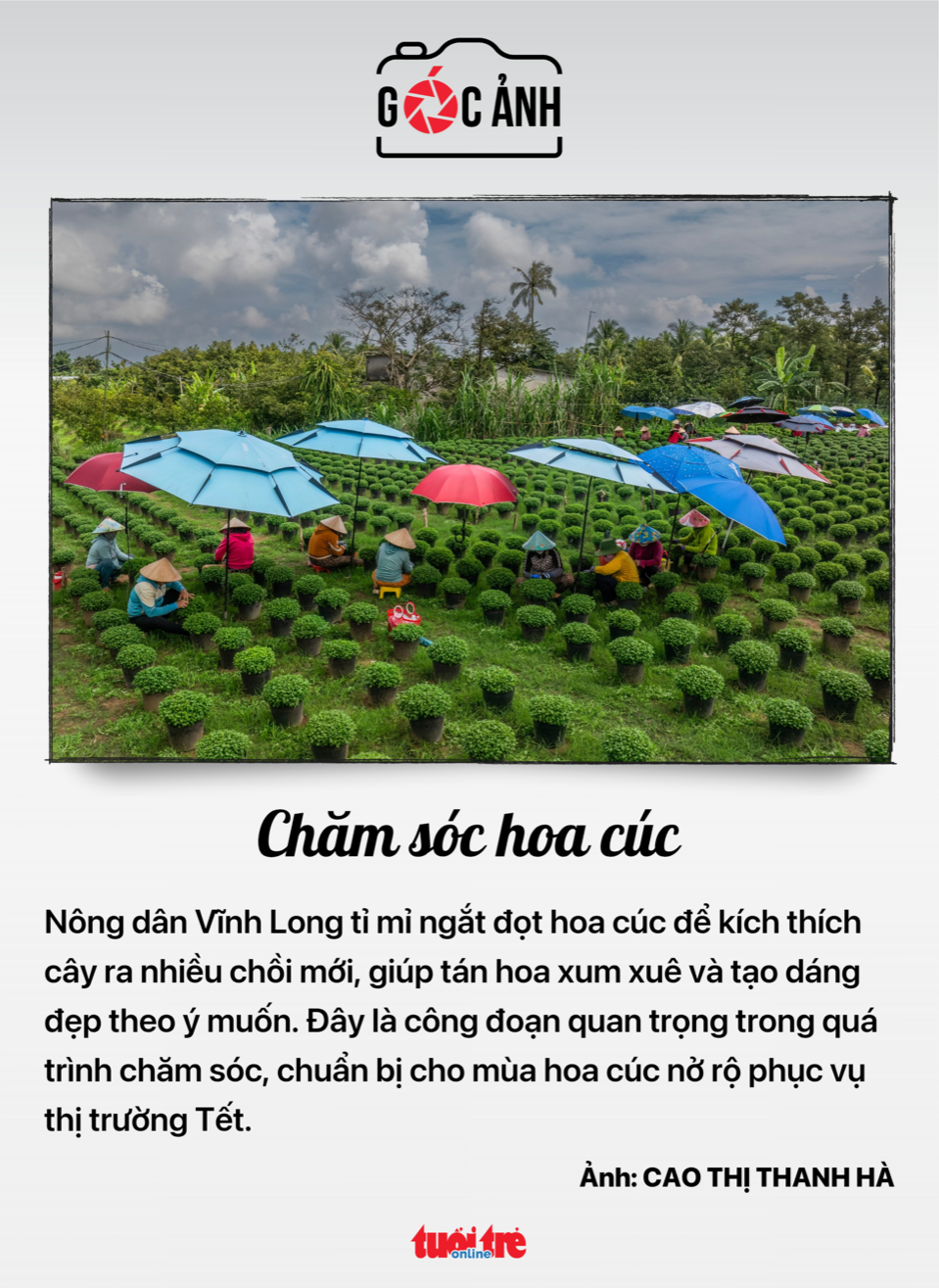 văn bằng - Ảnh 5.
