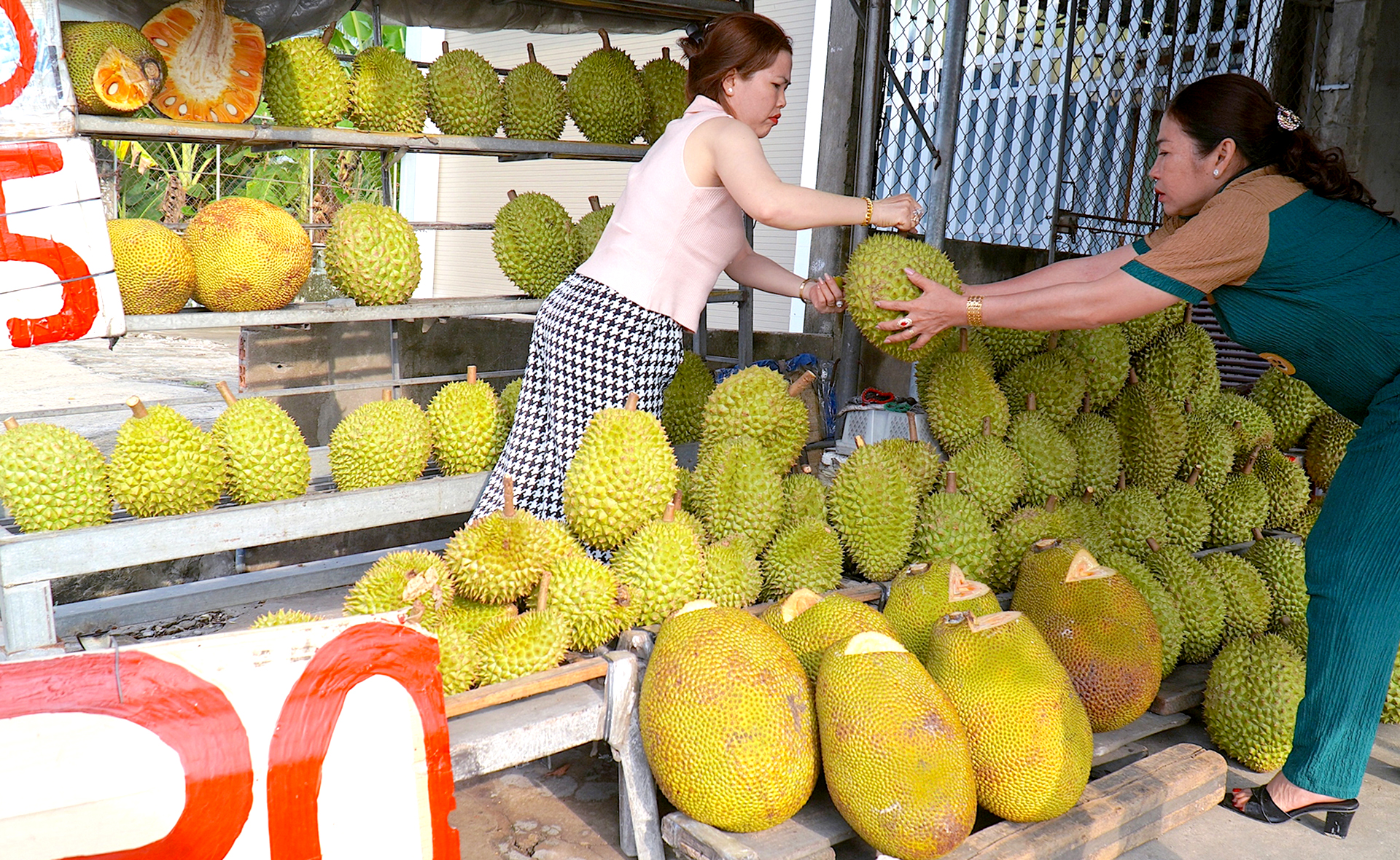 Cái vòng luẩn quẩn 'trồng chặt, lên rẫy, xuống ruộng' của người nông dân - Ảnh 1.