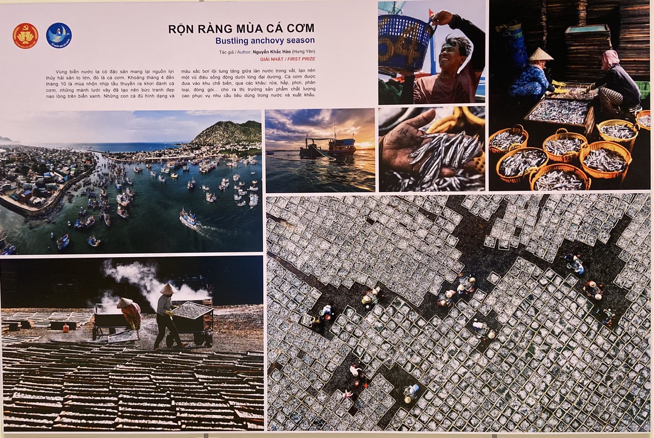 ‘Dưới bóng cờ Tổ quốc’, ‘Rộn ràng mùa cá cơm’ nhất thi ảnh Tổ quốc bên bờ sóng - Ảnh 6. Tổ quốc bên bờ sóng - Ảnh 4.