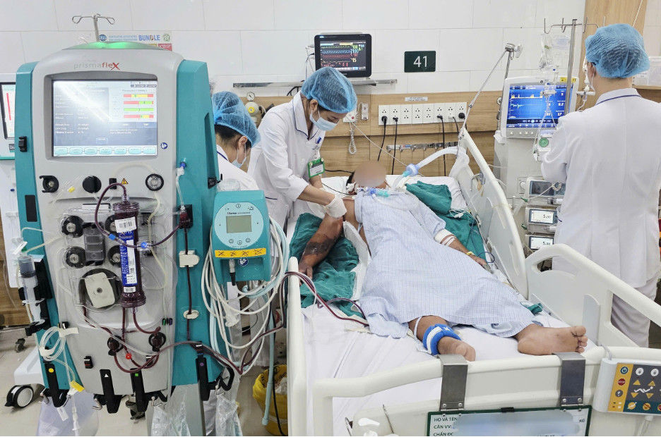 Bị rắn hổ mang cắn nhưng đắp lá, người đàn ông tử vong sau 1 tuần - Ảnh 1. rắn hổ mang - Ảnh 1.
