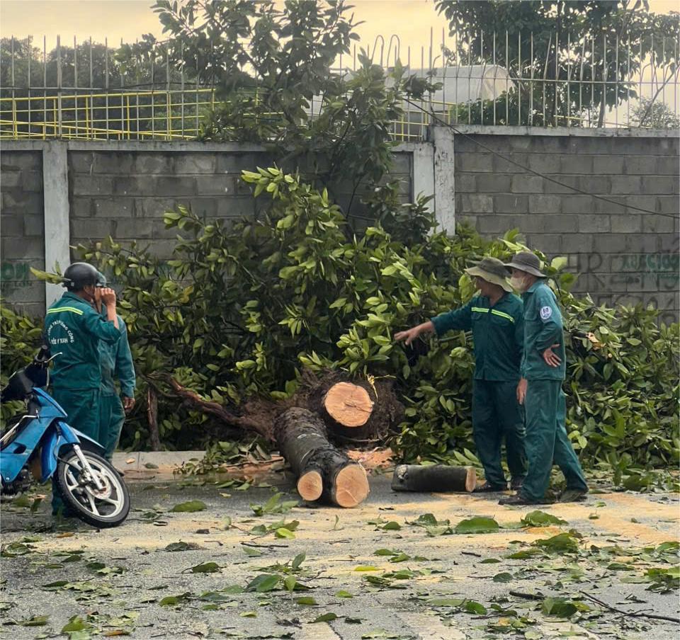 Phường 'cửa ngõ' của TP.HCM thiệt hại lớn do mưa lớn - Ảnh 2.