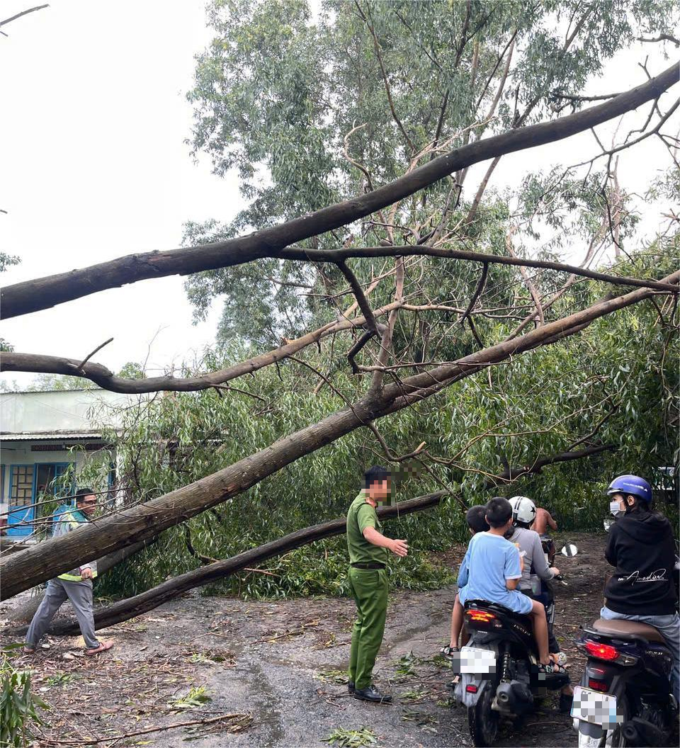 Phường 'cửa ngõ' của TP.HCM thiệt hại lớn do mưa lớn - Ảnh 1.