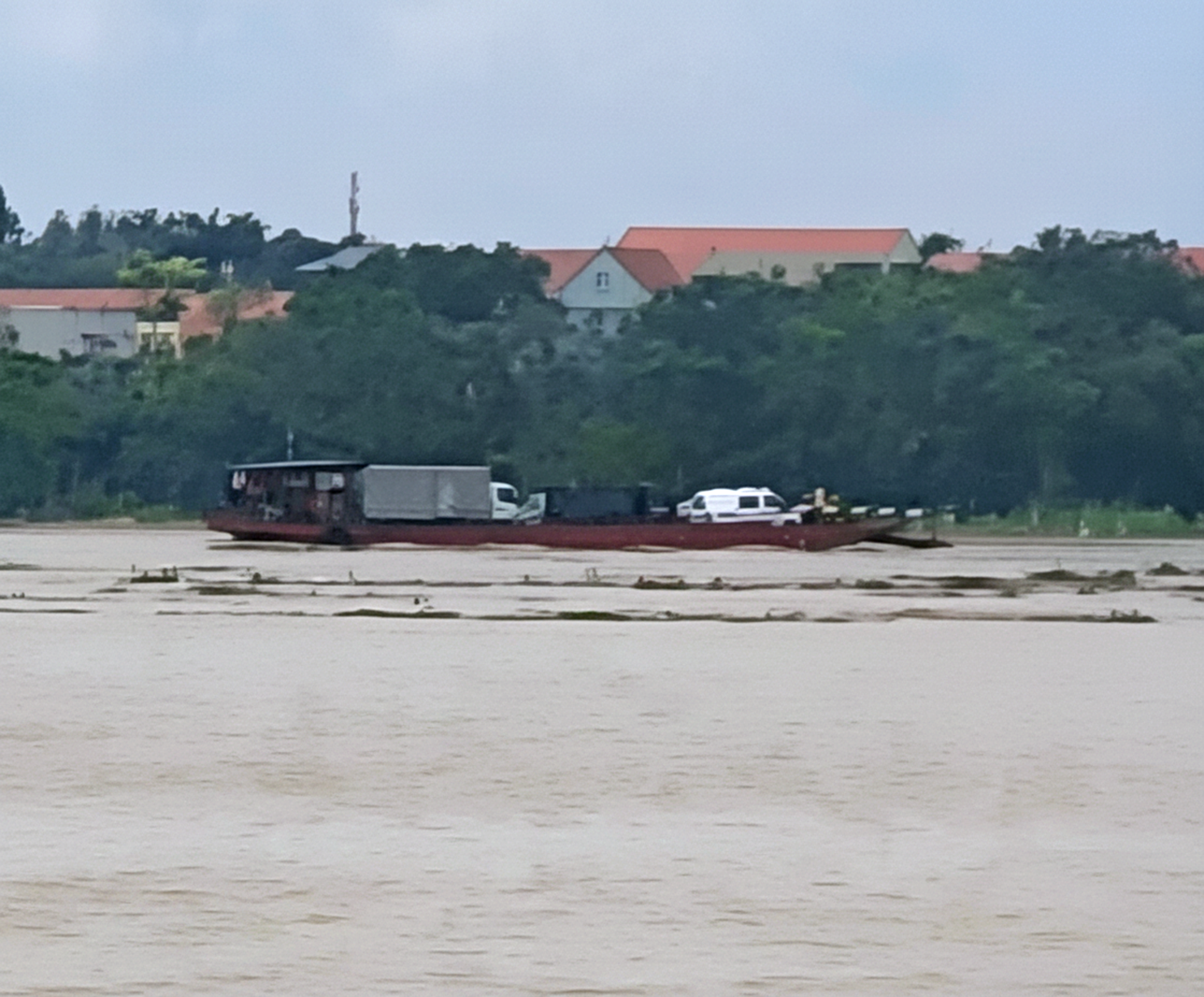 Lũ sông Hồng cuồn cuộn, phà vẫn chở khách từ Hưng Yên băng qua Hà Nội - Ảnh 1.