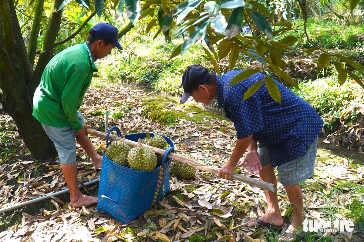 nông dân - Ảnh 1.