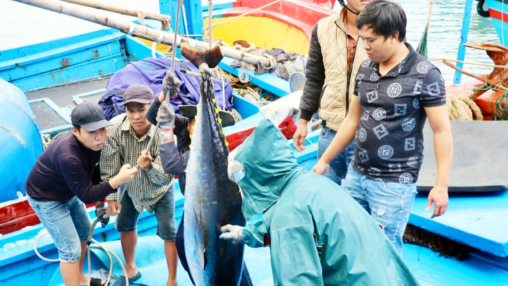 thủy sản - Ảnh 1.