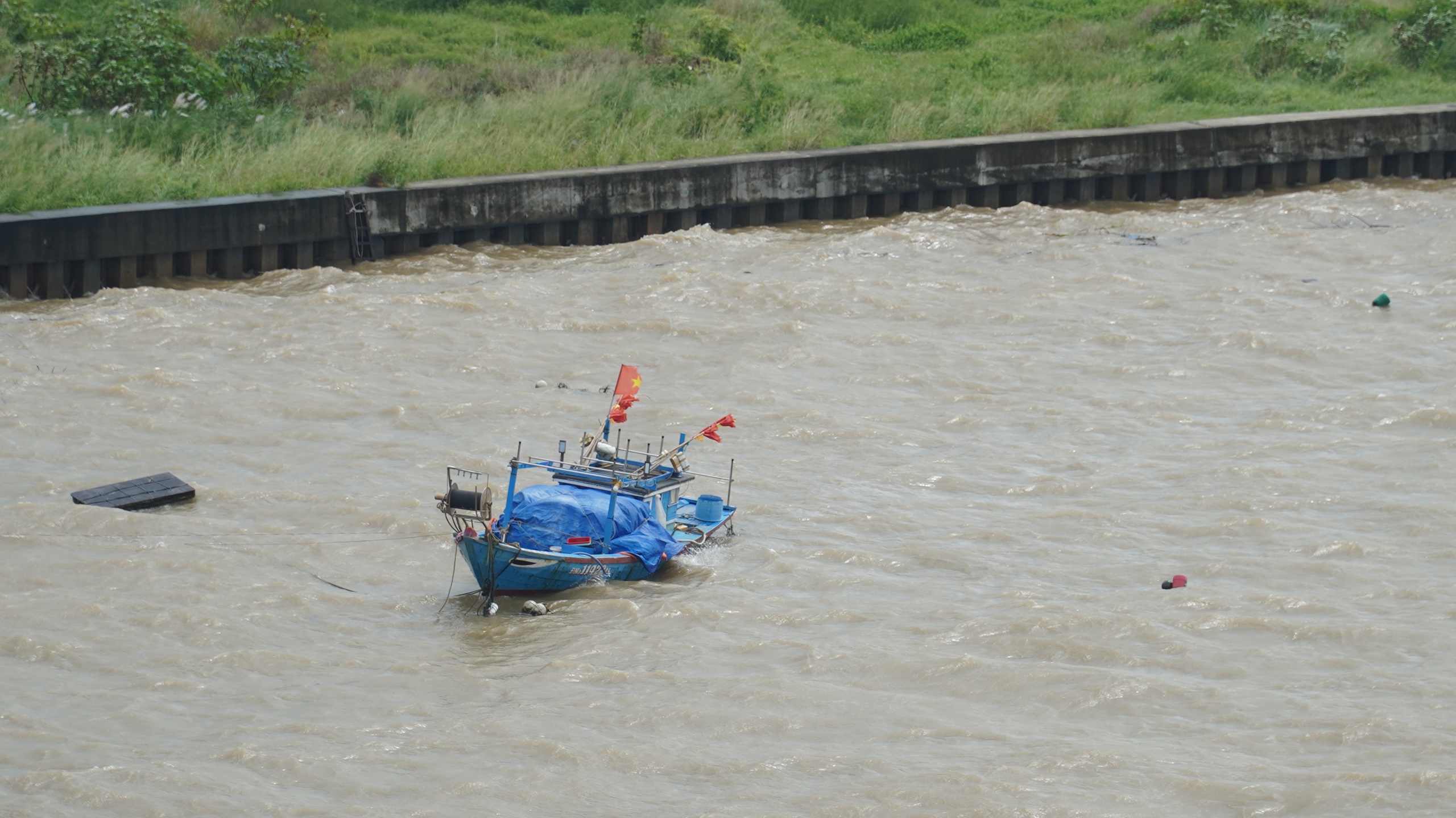ngập - Ảnh 3.