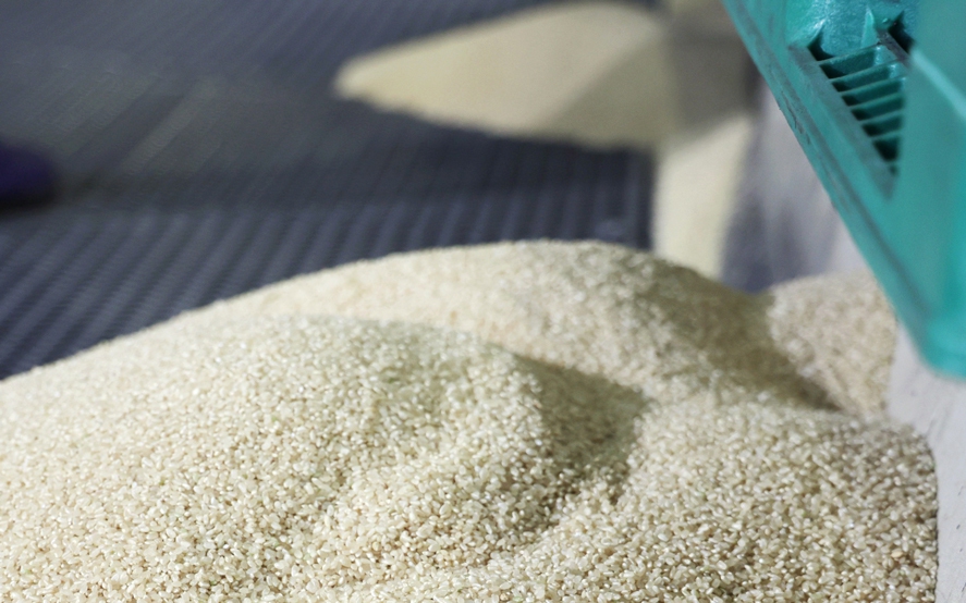 Japan reverses rice output boost policy; prices still high - Ảnh 3.
