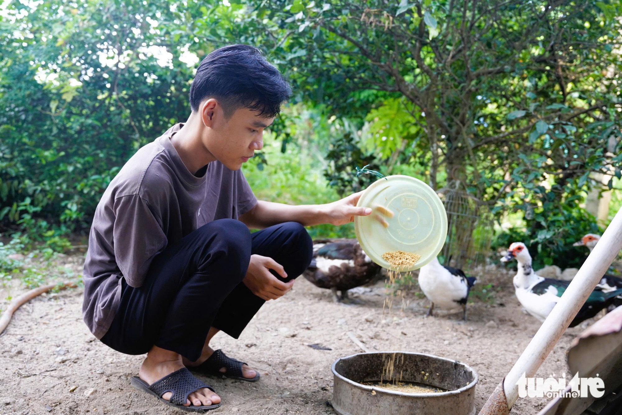 Cha ung thư mất, mẹ cũng ung thư, nam SV Quảng Ngãi nuôi trăm con gà mua thuốc cho mẹ - Ảnh 1.
