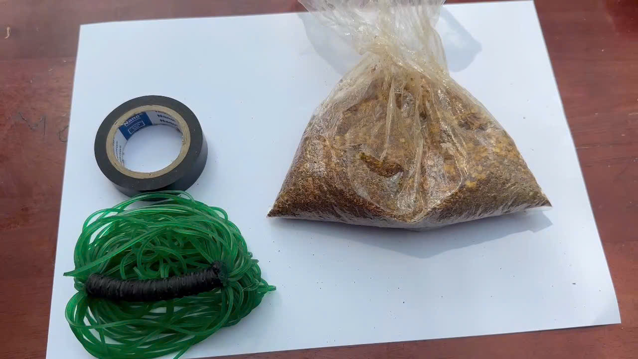 trộm chó - Ảnh 3.