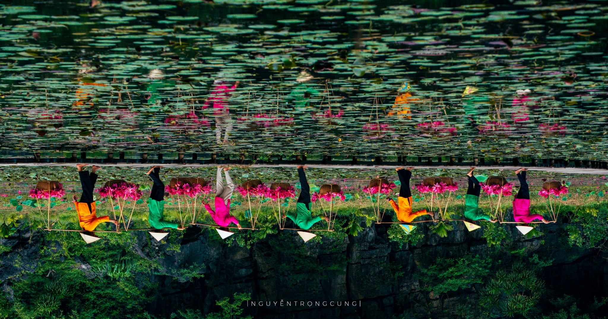Water lilies paint Tam Coc in vibrant hues, stun visitors to Vietnam’s Ninh Binh- Ảnh 4. Water lilies paint Tam Coc in vibrant hues, stun visitors to Vietnam’s Ninh Binh- Ảnh 4.
