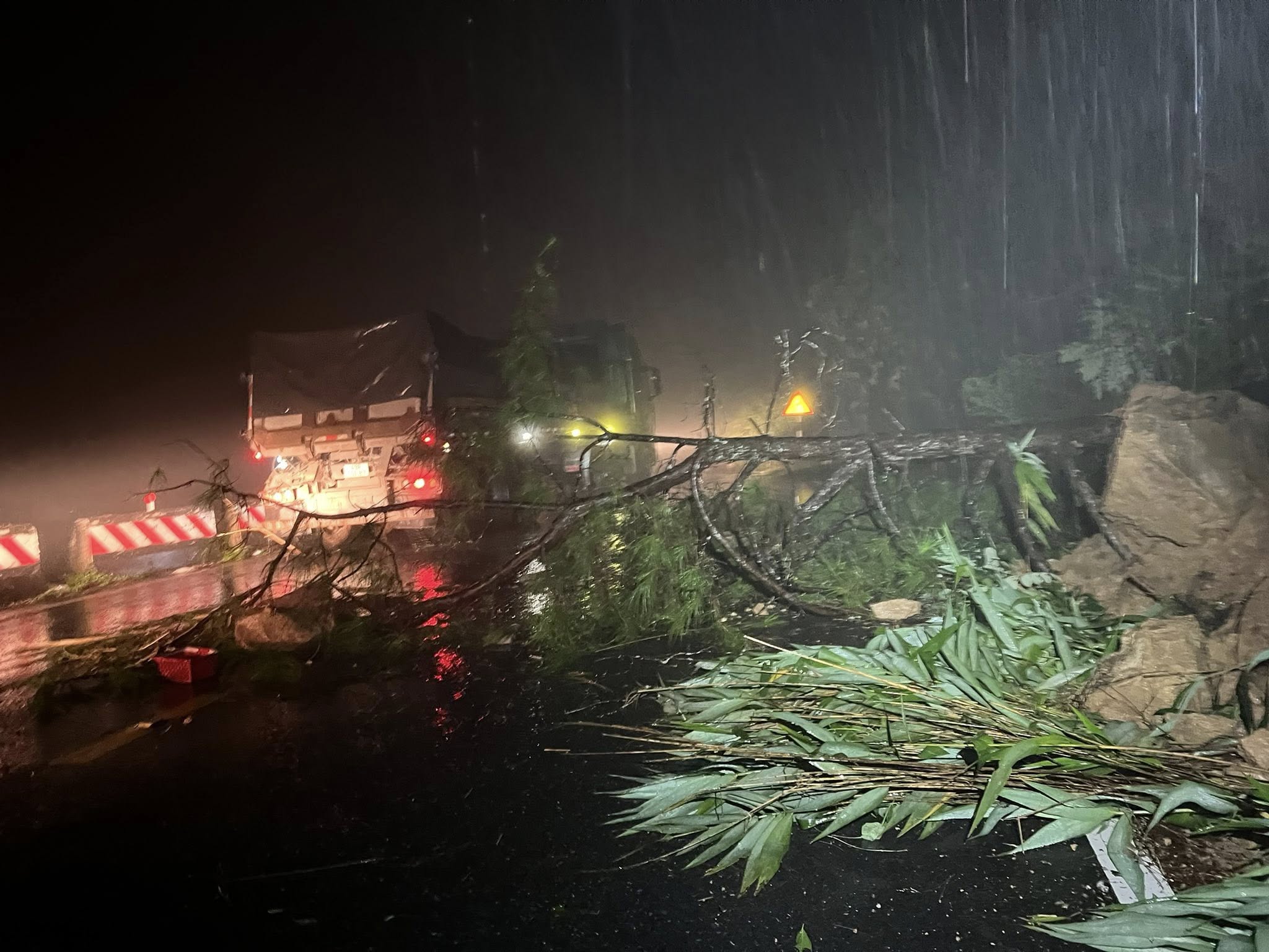 đà lạt - Ảnh 2.