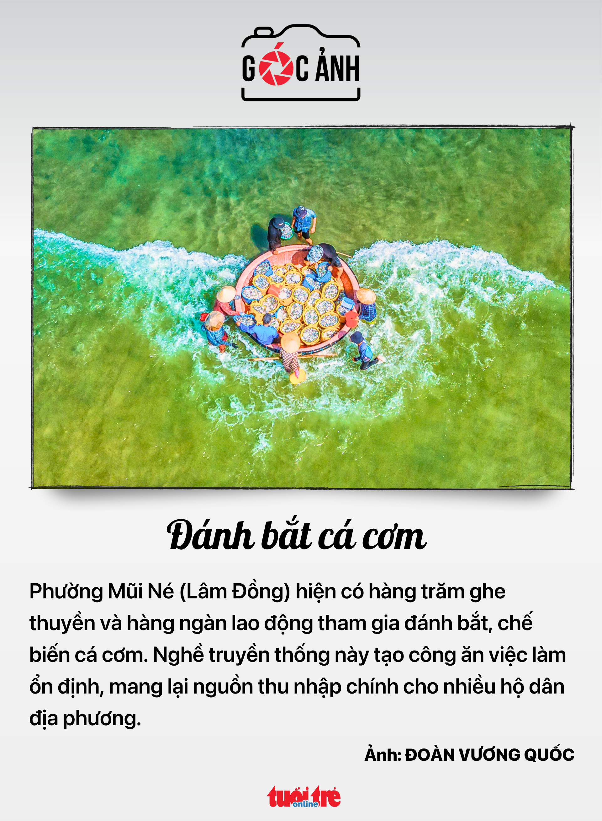 tin tức - Ảnh 9.