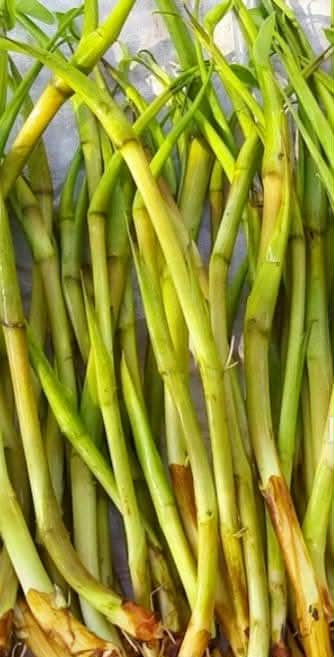 Canh ngó môn, món canh trong miền ký ức... - Ảnh 2. Canh ngó môn - Ảnh 2.
