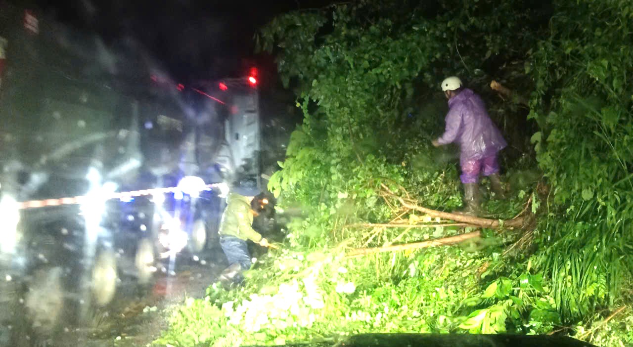 Mưa lớn gây sạt lở 12 vị trí trên đèo Ngoạn Mục nối Khánh Hòa - Lâm Đồng, đã thông một làn xe - Ảnh 1.