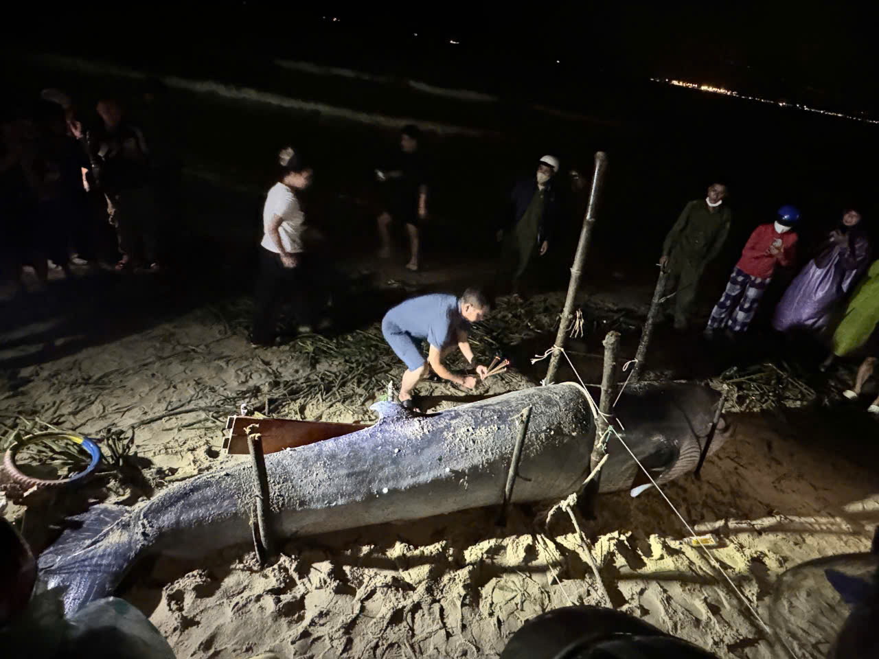 Đà Nẵng - Ảnh 1.