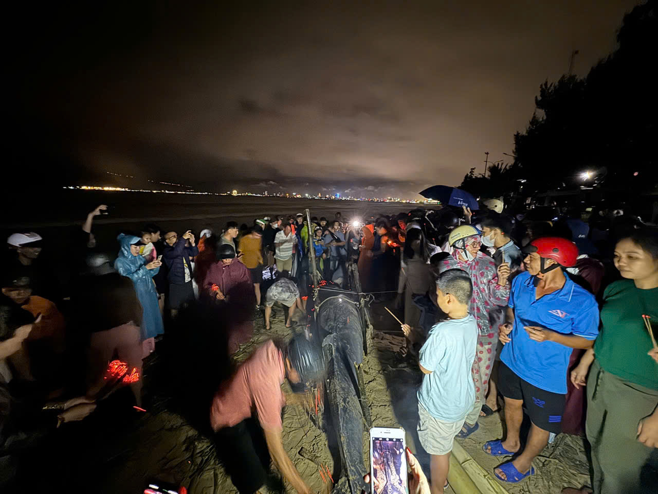 Đà Nẵng - Ảnh 4.