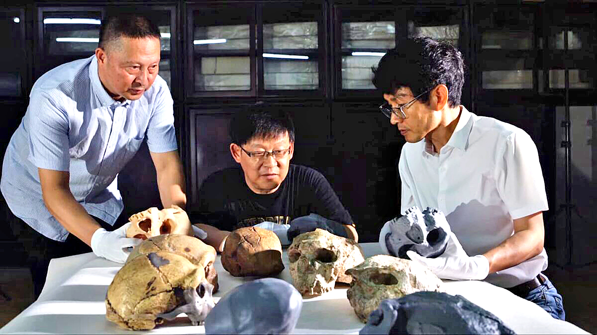 Phát hiện mới về loài người, lịch sử tiến hóa phải viết lại? - Ảnh 1.