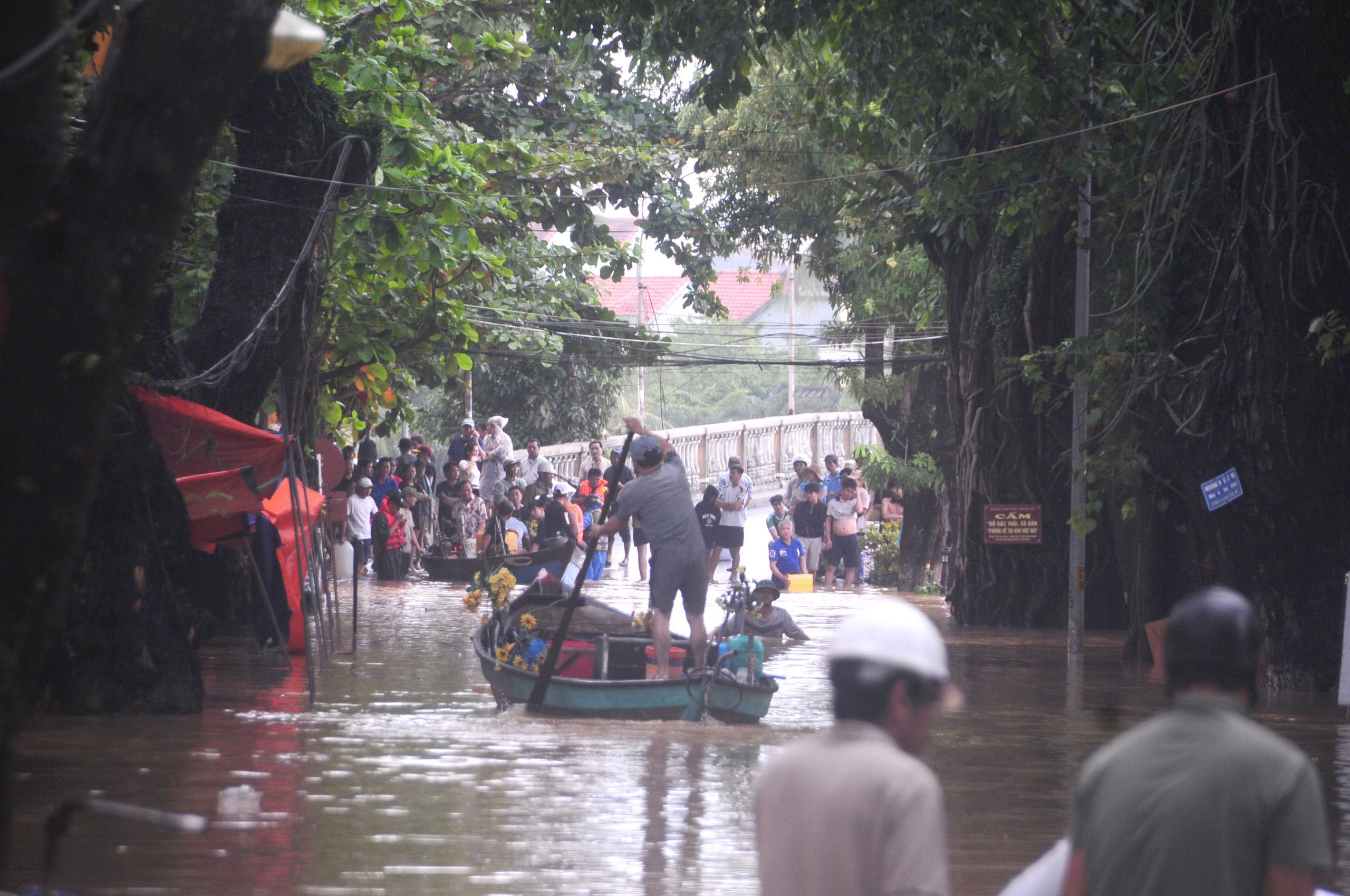 Vietnam’s Hoi An floods reach 1964 record level- Ảnh 9. Vietnam’s Hoi An floods reach 1964 record level- Ảnh 9.