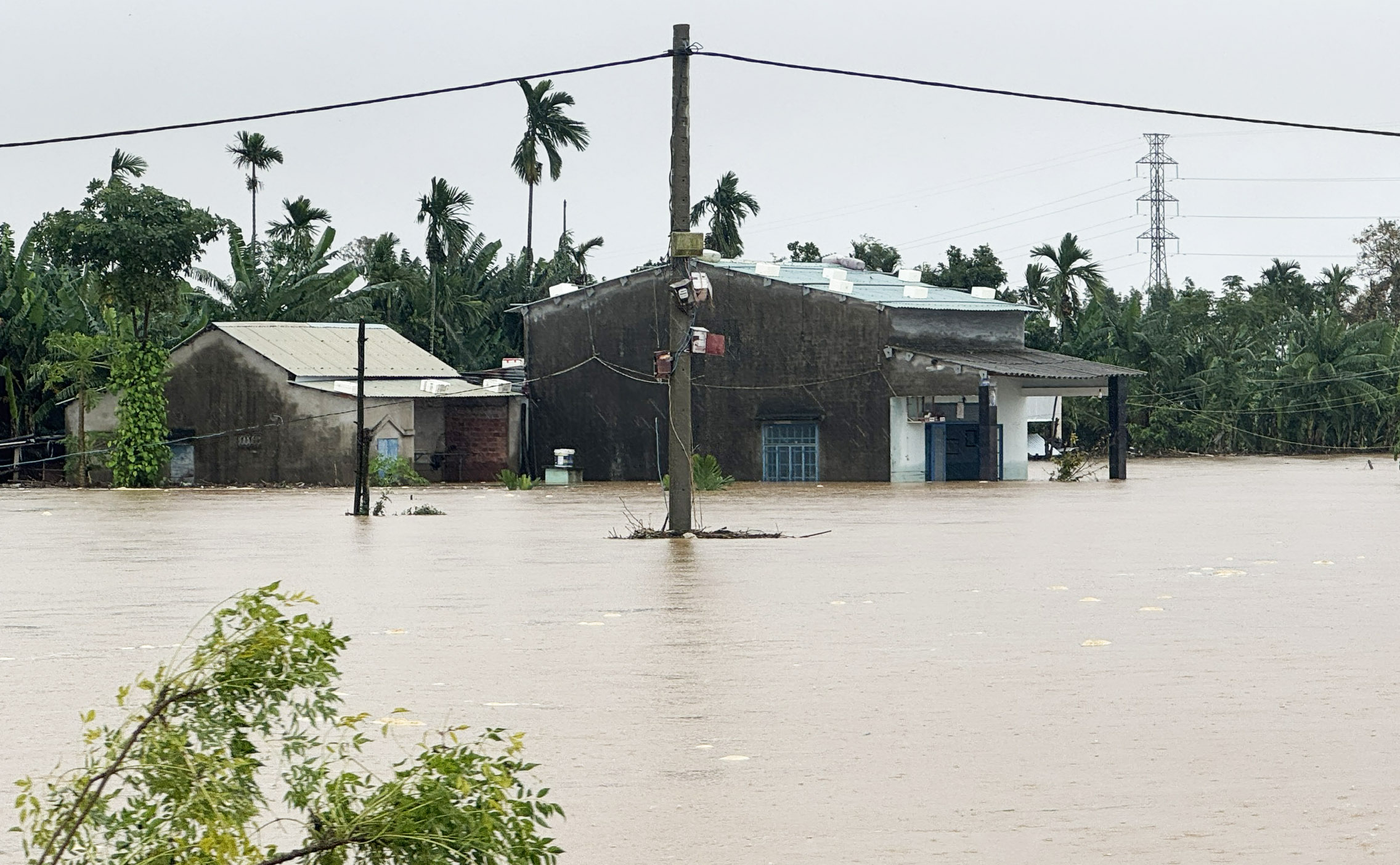 Thu Bồn - Ảnh 1.