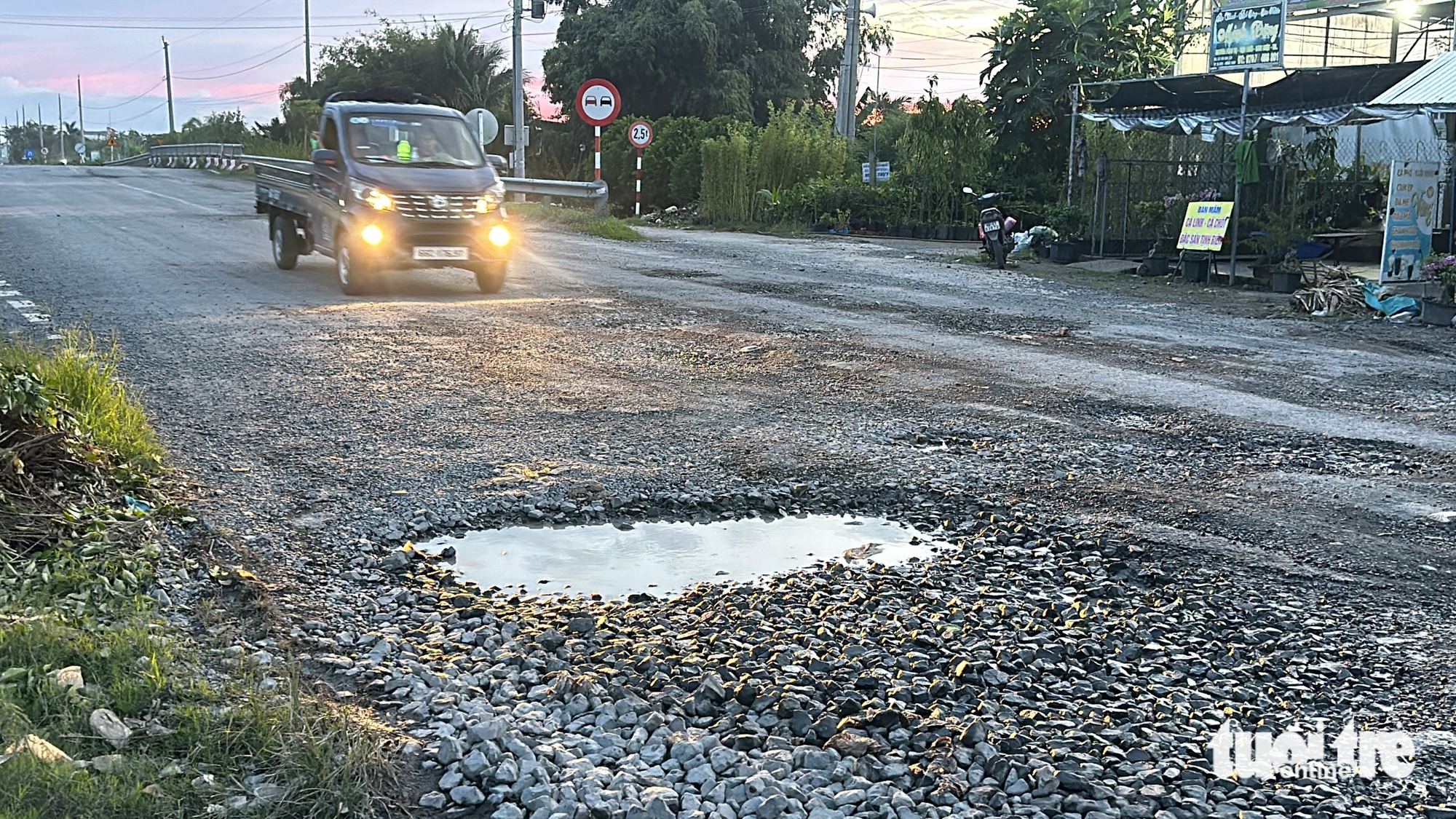 làng hoa sa đéc - Ảnh 3.