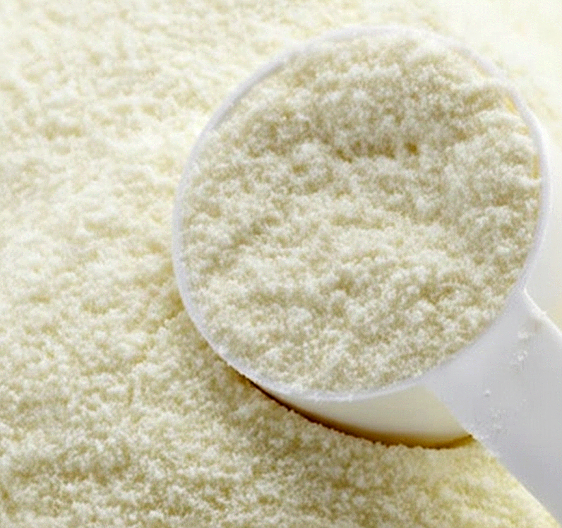 sữa bột - Ảnh 1.