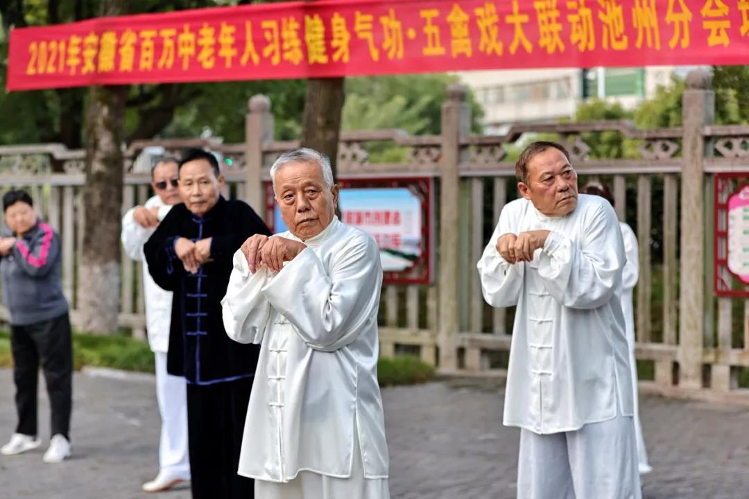 Ngũ cầm hí - môn võ rèn luyện cơ thể của danh y Hoa Đà - Ảnh 4.