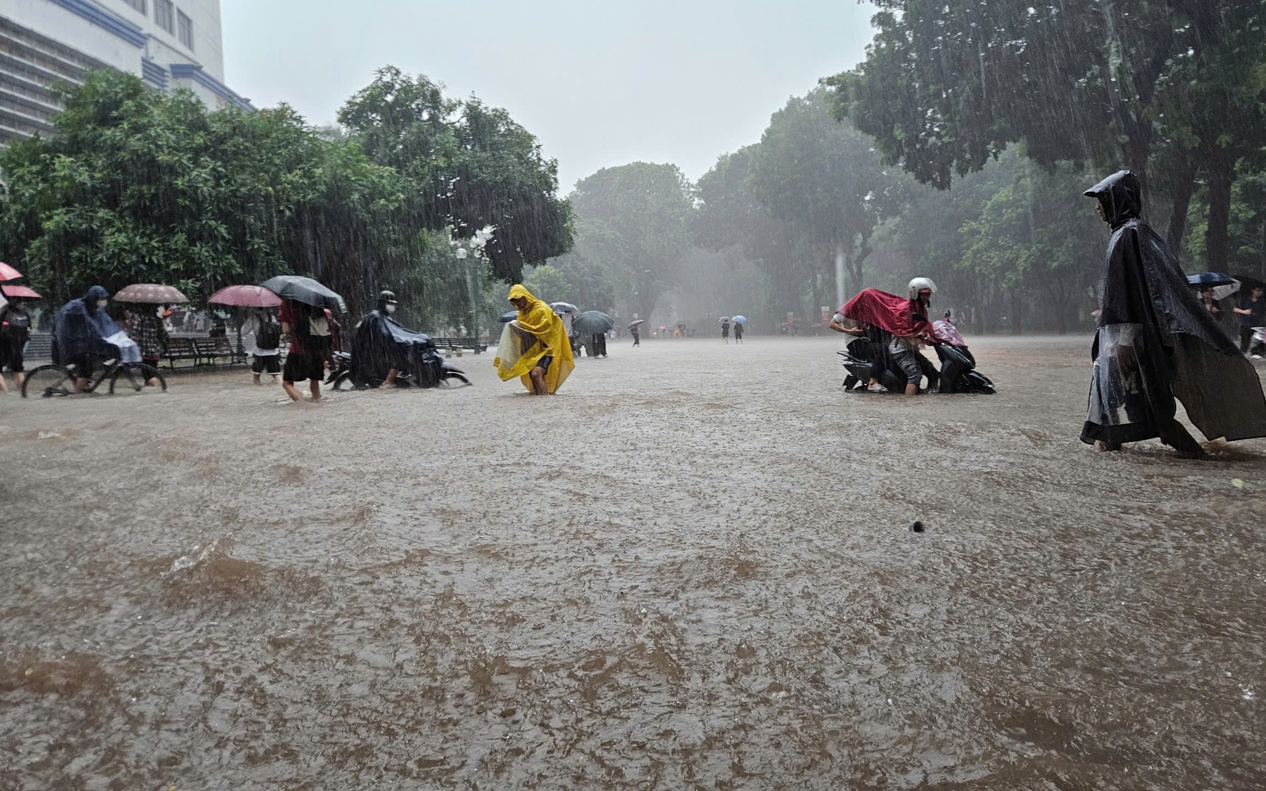 Hanoi prepares for storm Matmo with possible school closures, remote work- Ảnh 2.