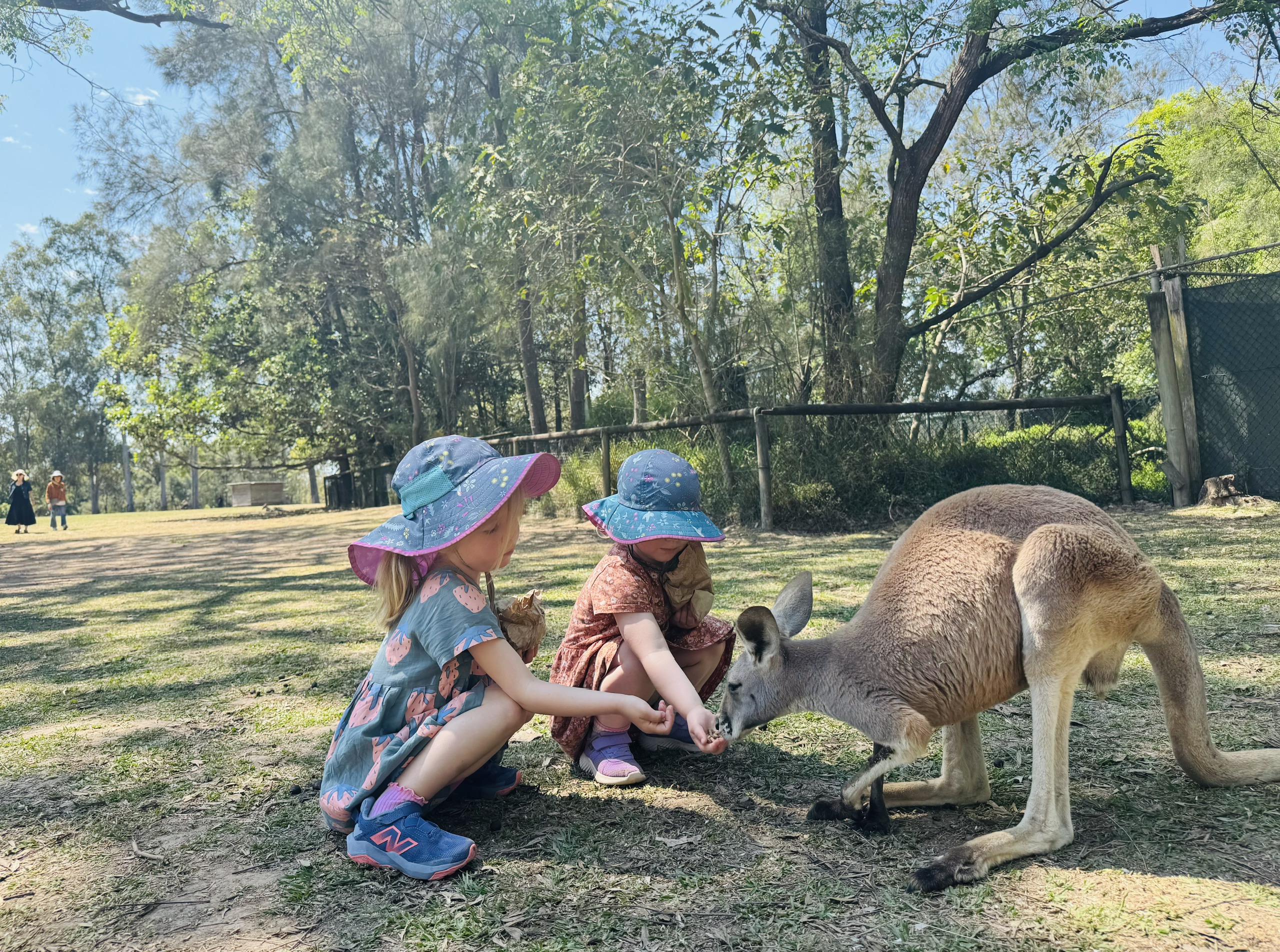 Từ Story Bridge đến đảo Tangalooma: hành trình chạm vào trái tim Brisbane - Ảnh 13.
