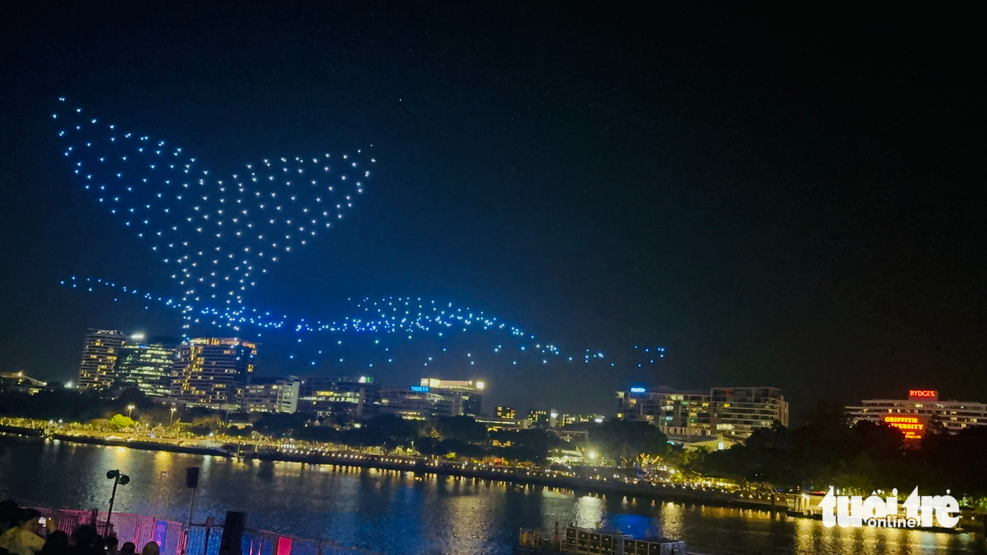 Từ Story Bridge đến đảo Tangalooma: hành trình chạm vào trái tim Brisbane - Ảnh 8.