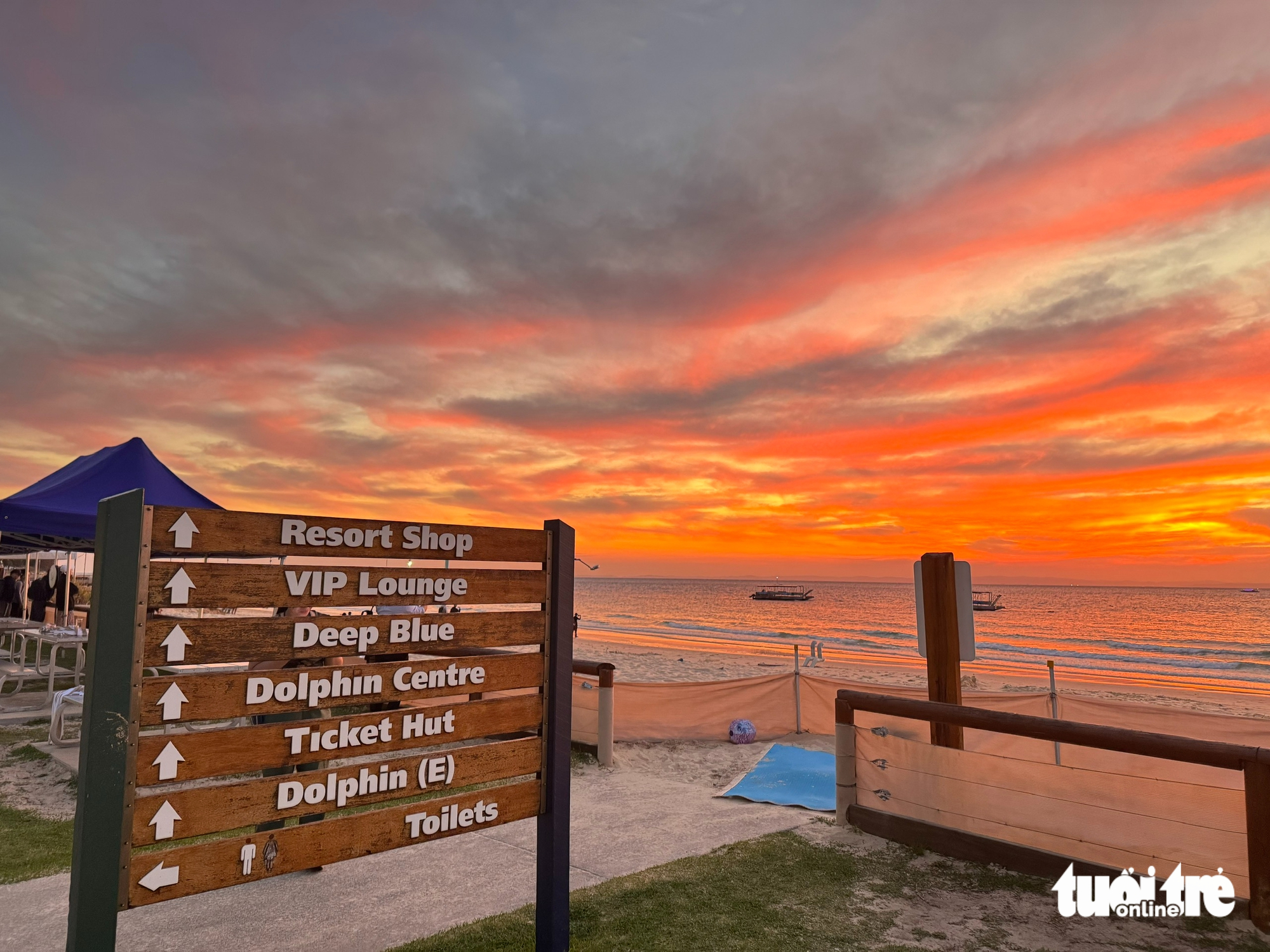Từ Story Bridge đến đảo Tangalooma: hành trình chạm vào trái tim Brisbane - Ảnh 12.
