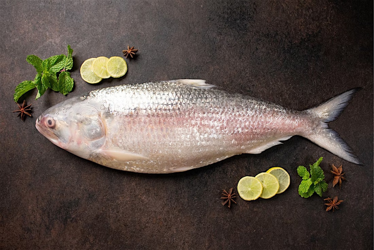 cá hilsa - Ảnh 2.
