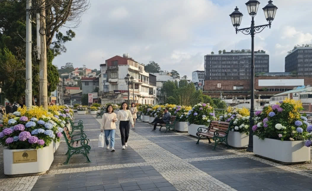 ការដកបញ្ជរផ្សាររោមចៀមក្រុងដាឡាត់ ដាំផ្កាដើម្បីលម្អទីប្រជុំជន - រូបថត ២. Dỡ bỏ ki ốt chợ đồ len Đà Lạt, trồng hoa chỉnh trang đô thị - Ảnh 2.