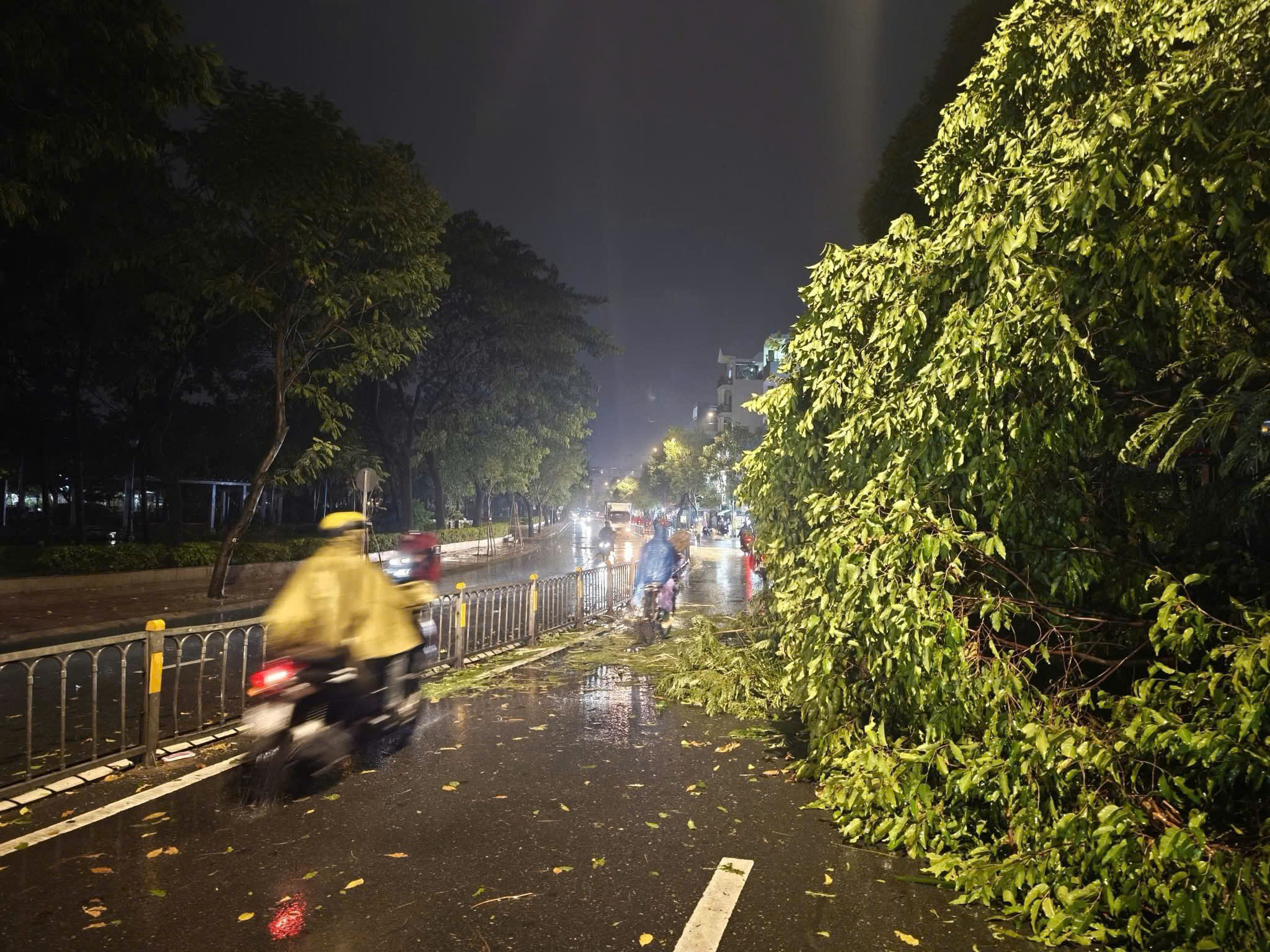 mưa dông - Ảnh 5.