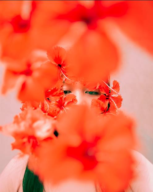 Tinh Tuyển Phương Hoa  - Ảnh 2.