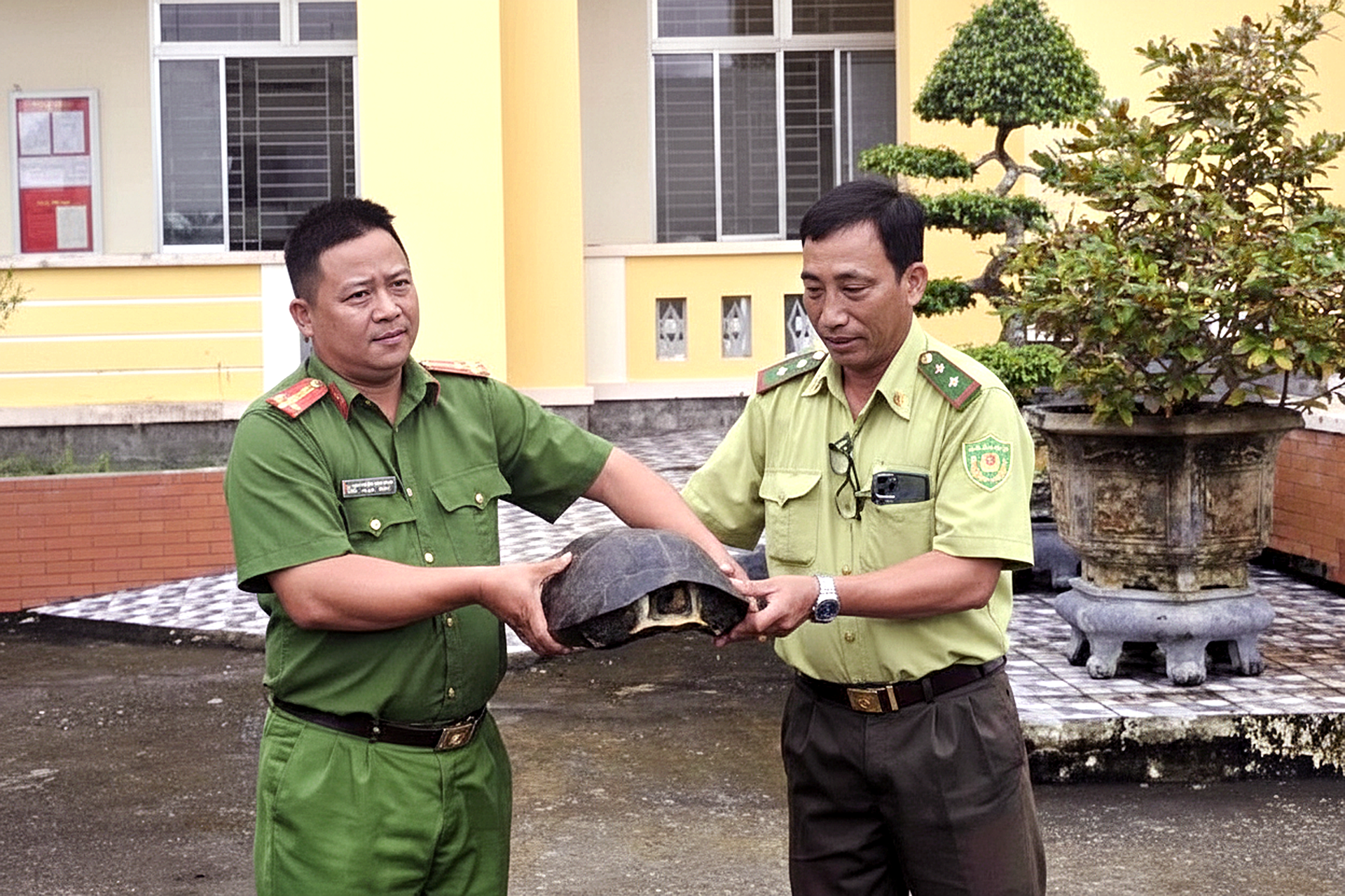 Thấy con rùa răng 10kg đối mặt nguy cơ tuyệt chủng trên đê, công an bàn giao kiểm lâm - Ảnh 1.