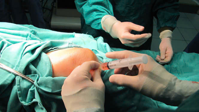 tế bào - Ảnh 1.