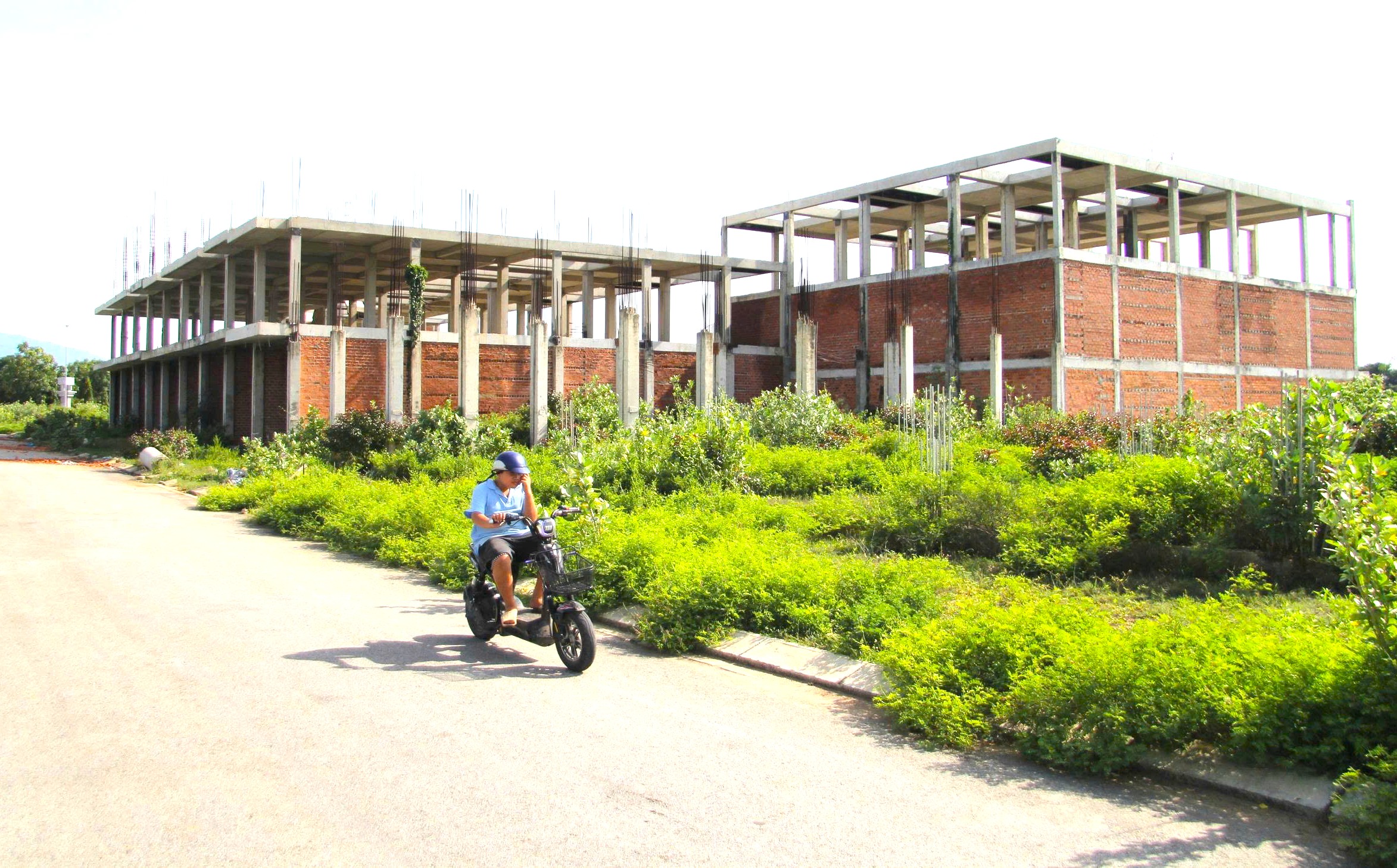 Dự án không phù hợp quy hoạch sử dụng đất, tỉnh Ninh Thuận (cũ) vẫn chỉ định cho doanh nghiệp làm - Ảnh 1.