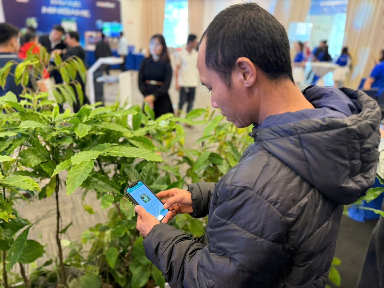 phân bón cà mau - Ảnh 4.