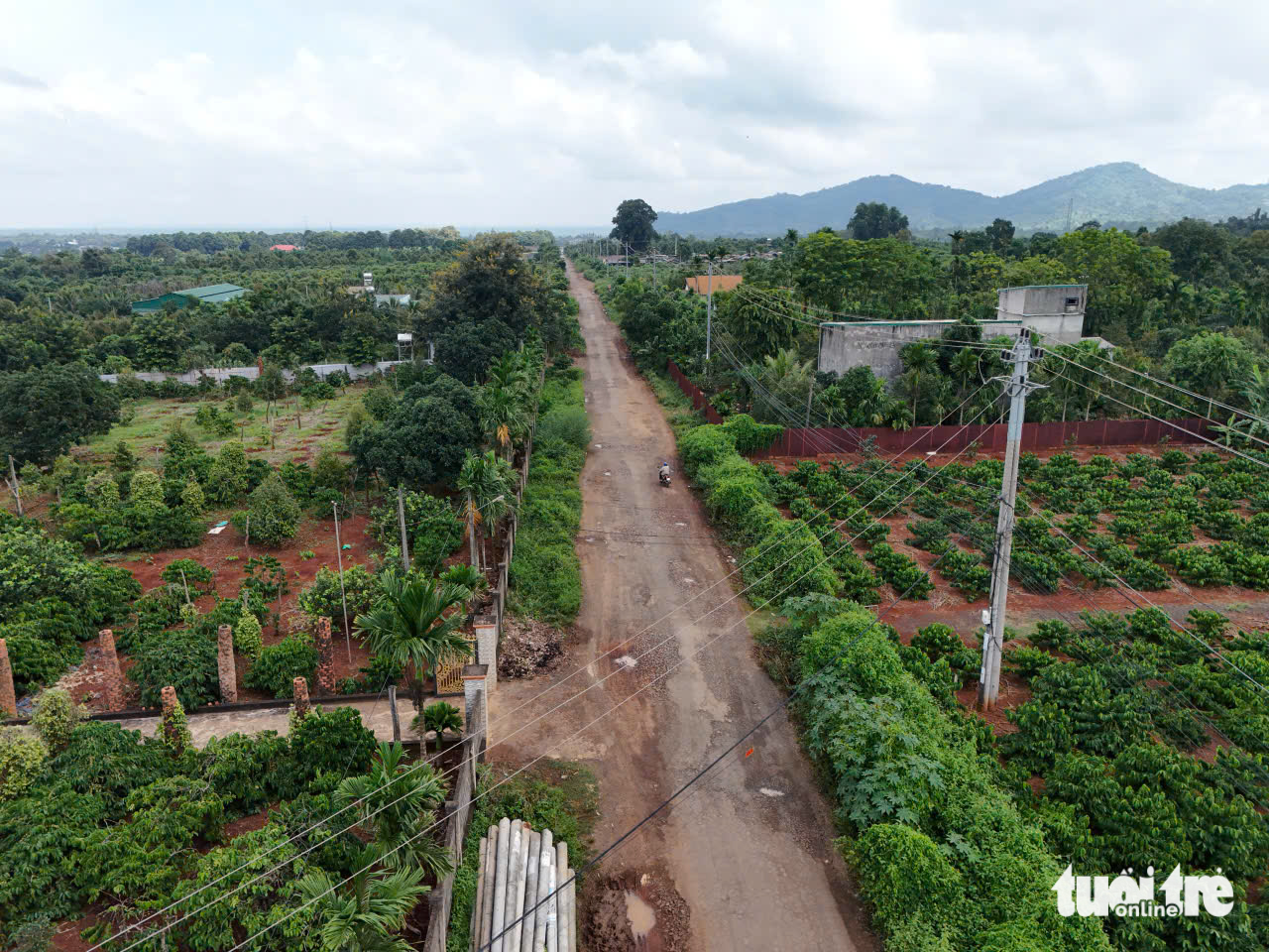 Lập khống hồ sơ, giả chữ ký, nghi gian lận chấm thầu dự án ở Đắk Lắk- Ảnh 1. Lập khống hồ sơ, giả chữ ký, nghi gian lận chấm thầu dự án ở Đắk Lắk- Ảnh 1.