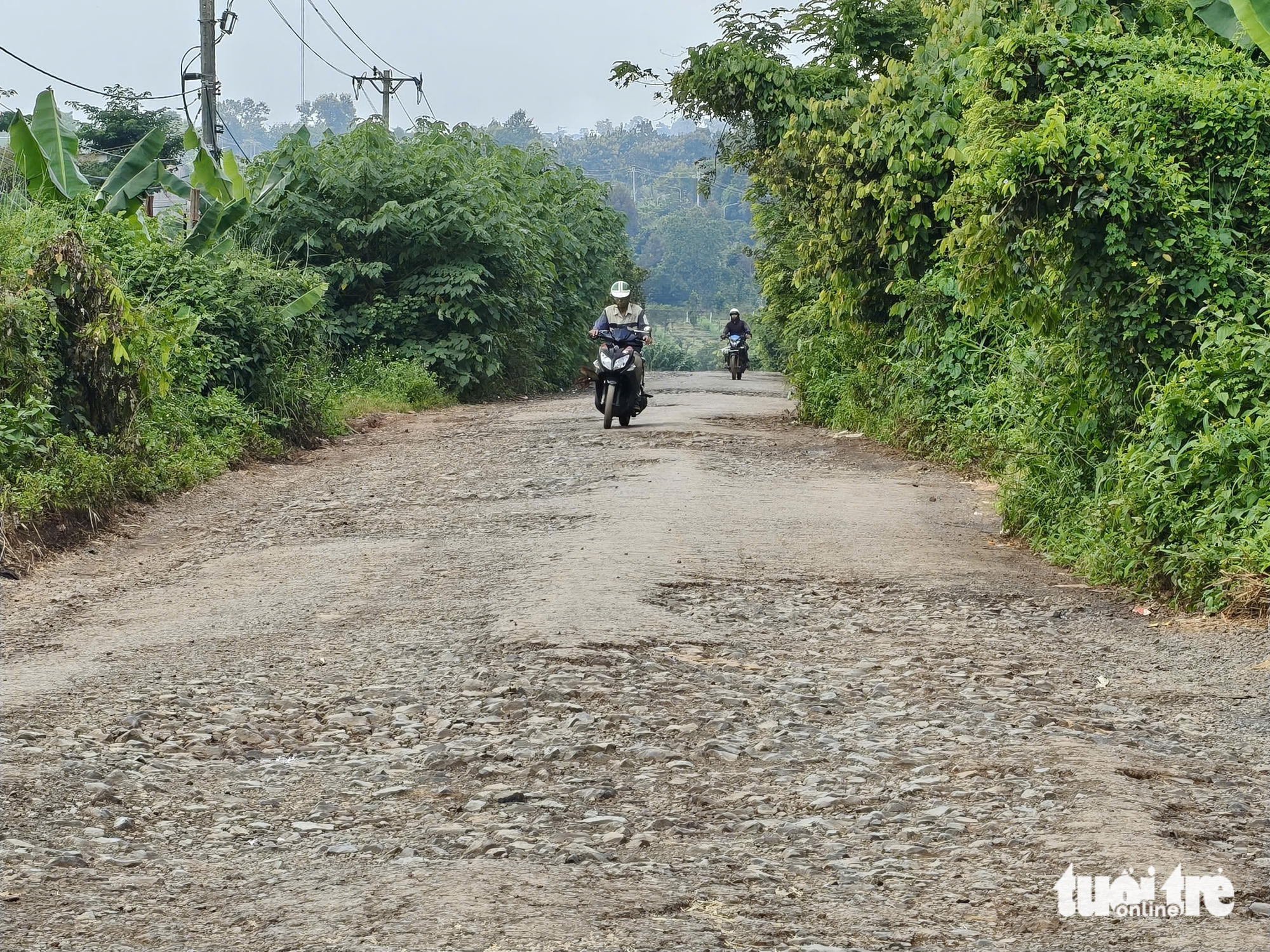 Lập khống hồ sơ, giả chữ ký, nghi gian lận chấm thầu dự án ở Đắk Lắk- Ảnh 3. Lập khống hồ sơ, giả chữ ký, nghi gian lận chấm thầu dự án ở Đắk Lắk - Ảnh 3.