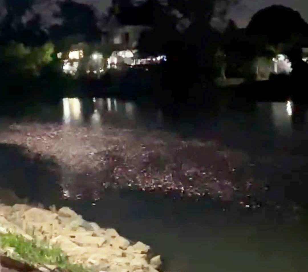 sông truồi - Ảnh 1.