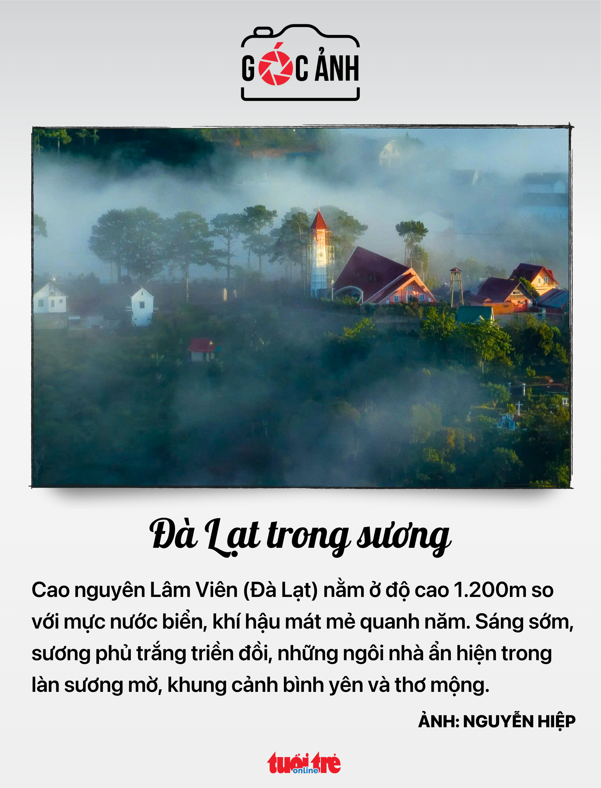 tin tức - Ảnh 9.